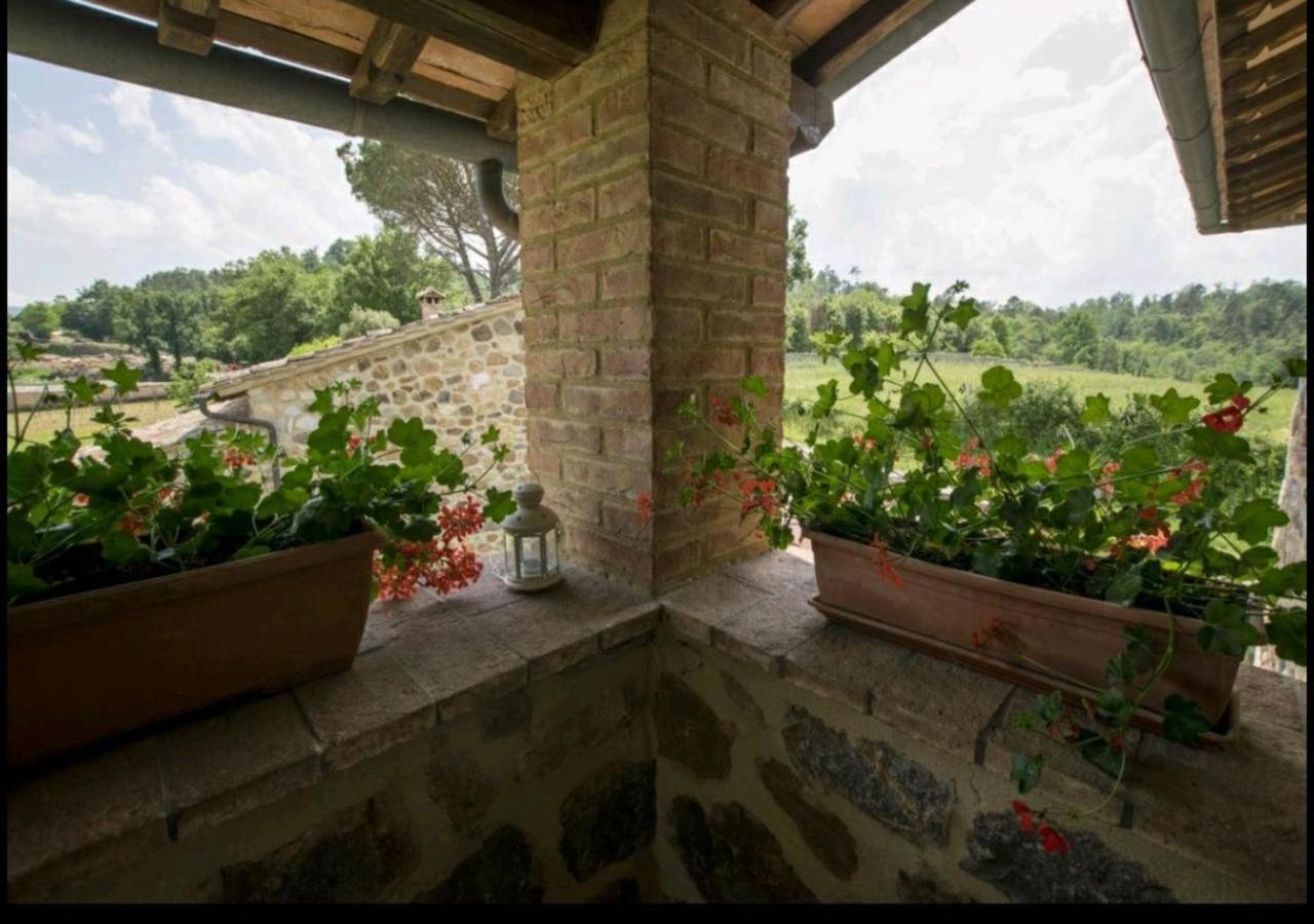 Casetta Della Pina Monticiano Dış mekan fotoğraf